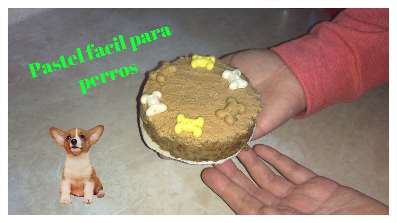 como hacer un pastel para perros facil YouTube