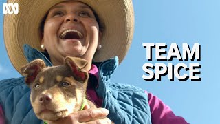 Energetic kelpie puppy Spice and Indigenous station owner CJ Scotney | Muster Dogs