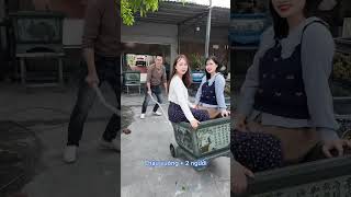 Xe nâng chậu cảnh giá rẻ |Khuôn Tổng Hợp