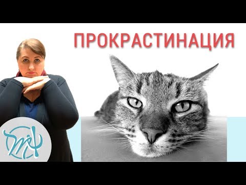 Почему мы откладываем на потом. Борьба с прокрастинацией