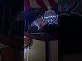 Electric Party Atmosphere SPR Pyjama Party #5 #Electronic #Party #Music 11