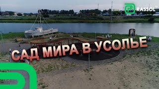 В Усолье-Сибирском в рамках акции #СвоихНеБросаем появился  сад Мира