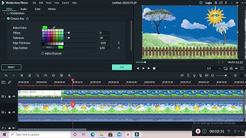 Remove or replace video