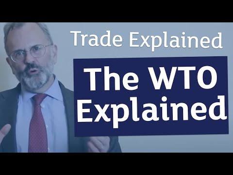 Video: Bakit Ang Pag-access Sa WTO Ay Negatibong Tiningnan