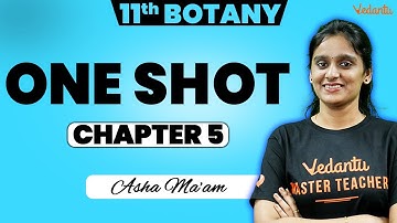 11th Botany | CH 5 Taxonomy and Systemic Botany One Shot | Public Exam 2025