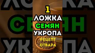 Семена укропа: мощное средство для печени, давления и сна