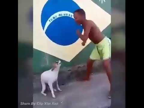 ١ أكتوبر ٢٠١٩