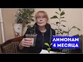 23.01.2021 Саженцам лимонов 🍋 4 месяца. Наращиваем корни. Готовим саженцы к будущим прививкам.