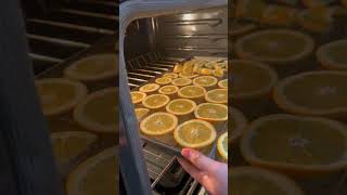 Portakal Nasıl Kurutulur