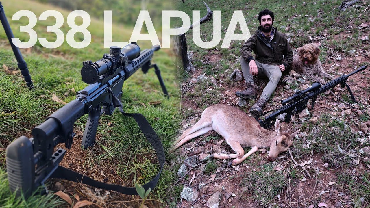 338 LAPUA And Fallow Deer - YouTube