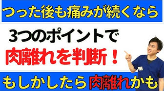 こむら返り Youtube