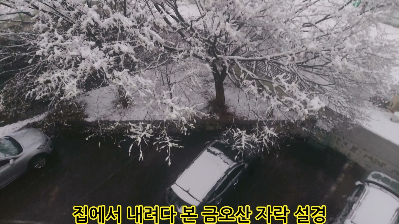 눈 내리는 화요일 오후