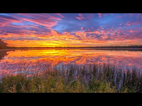 Take My Life, and Let It Be (Instrumental) Traditional Beautiful Peaceful Hymn arranged by Tim Janis