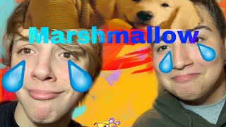 Reacting to Marshmellow ft. Bastille - Happier music video\