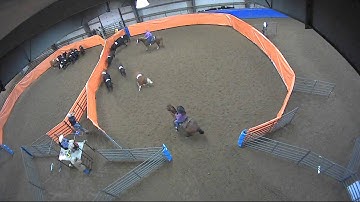 Big Sky Ranch Sorting Saddle Series #2 - #8 Ranch Hand H/C - Round #1 - Ride #4