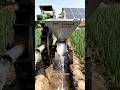 Amazing Farmer Jugaad Machine  Urea Fertilizer Dispenser in Water | Smart Farming Innovation#short