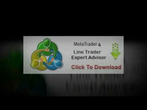 master forex trader zen