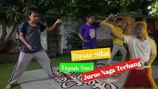 Dasar Silat Tapak Suci , Jurus naga Terbang