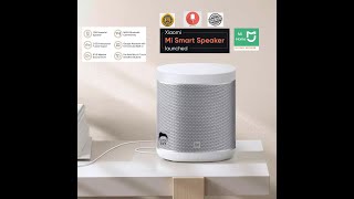 Xiaomi Smart Speaker Google voice control smart home 12w speaker with DTS tuned sound 1yr warranty