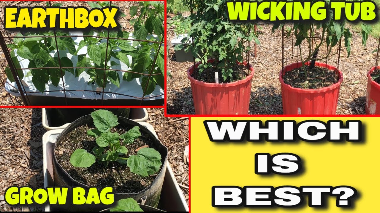 WICKING TUB vs GROW BAG vs EARTHBOX - WHICH WORKS BEST - PROS AND CONS ...