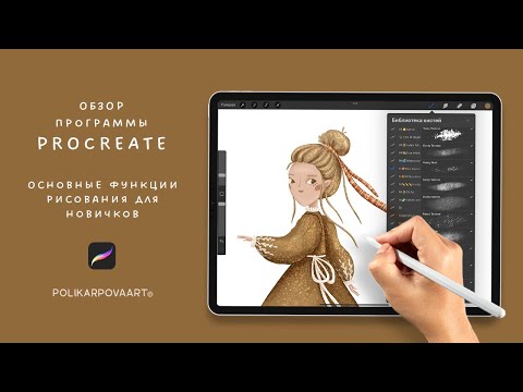 Обзор программы Procreate,