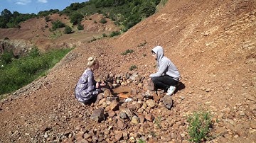 ills sont incendiaires