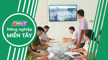 Toàn cảnh Nông nghiệp - 19/12/2024 | Nông nghiệp Miền Tây
