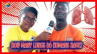 How Many Lungs Do Humans Have? | Street Quiz | Funny Videos | Funny African Videos | African Comedy