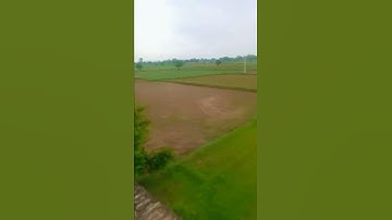 My First Vlog Please full support me Plz help #myfirstvlog #firstvlog #vlog