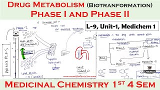 Drug Metabolism Phase 1 And Phase 2 Biotranformation L-9 U-1 Medicinal Chemistry 4Th Semester