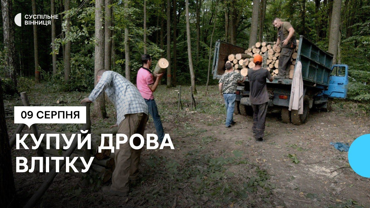 Заготівля дров на Вінниччині: які породи та за скільки можна придбати у лісництві