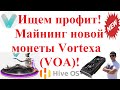 Ищем профит! Майнинг новой монеты Vortexa (VOA)! Доходность!