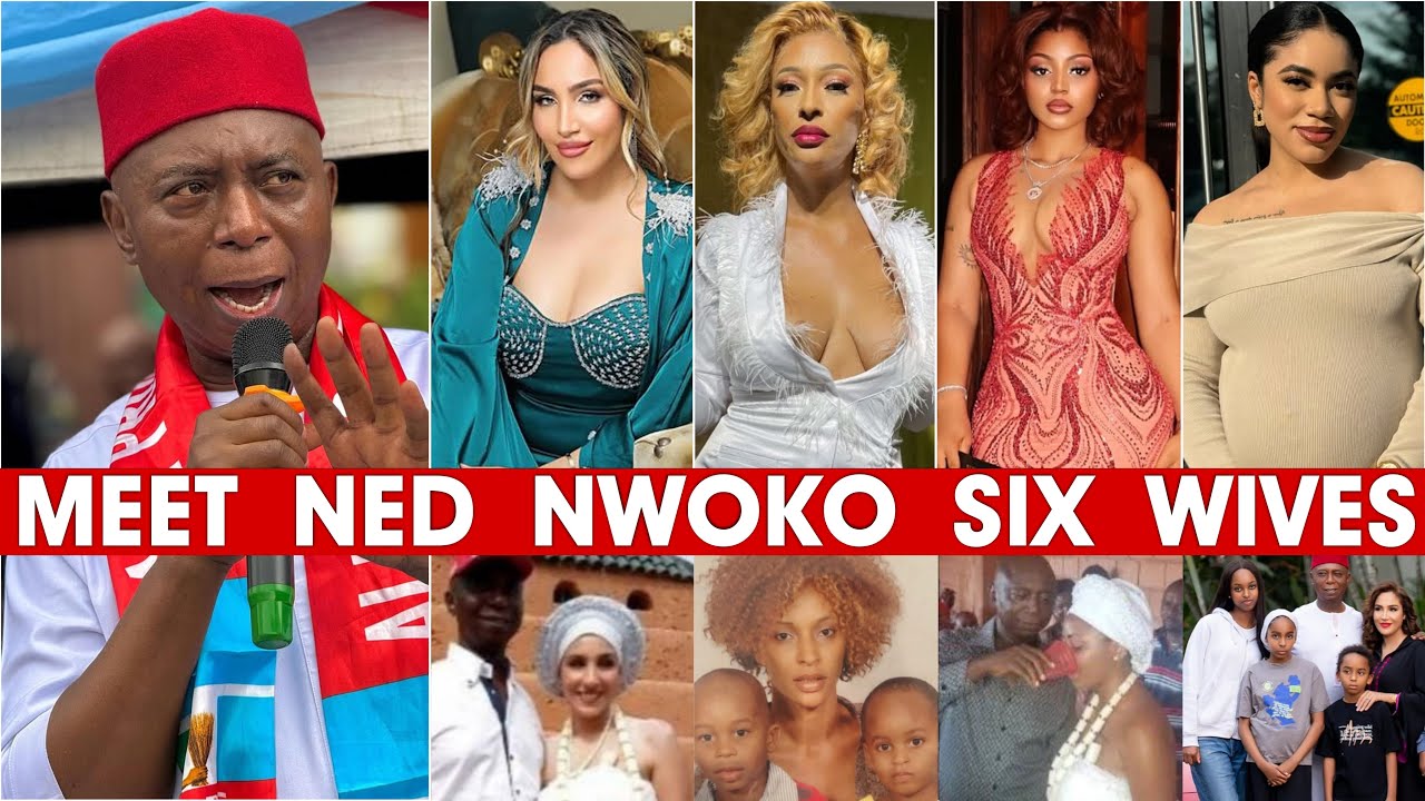Знакомьтесь: шесть жён сенатора Неда Нвоко. Шесть жён Неда Нвоко | Последние новости Нигерии