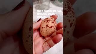 Speckled Are Pretty See Description For Causes Of