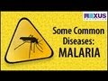 Malaria: Understanding the Disease and Its Lifecycle