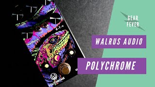 Walrus Audio Polychrome Analog Flanger // Full Course Meal Guitar Pedal Demo