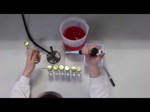 Serial Dilution