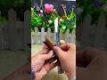 Fruitknife pocket knife fruit knife knife cut share Highly recommended#open express #shorts #yt