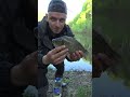 ЗАРЫБЛЯЮ ПРУД КАРАСЕМ! #shorts #shortvideo  #подпишись #fishing #рыбалка #carpfishing #fish #лайк