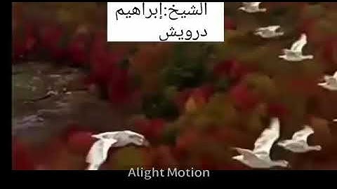 ما تيسر من صلاة العشاء. من سورة الأحزاب