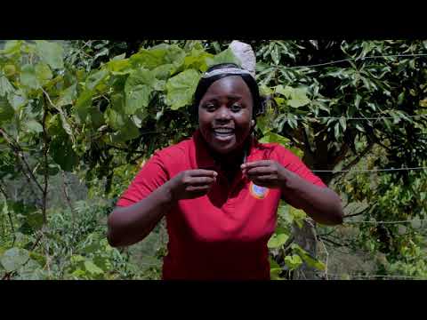 Video: Je! Ninaweza kupata nini na tuzo za uaminifu za Shamba la Jimbo?