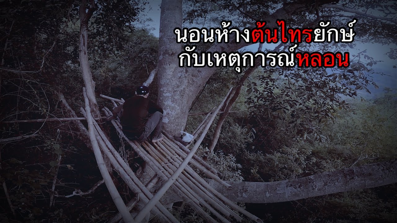นอนห้างต้นไทร มีบางอย่างมากระตุกเชือก