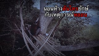 นอนห้างต้นไทร มีบางอย่างมากระตุกเชือก