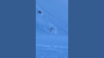 Another day for the memory books! #sledding #newvideo #snowmobiling #skidoo #polaris #deepsnow