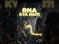 RNA का सच 😱 | आपकी बॉडी का असली हीरो! #shorts #youtubeshorts #science