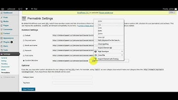 BestWebsitesDesigner.com how to solve issue with WordPress inner pages not working part 2