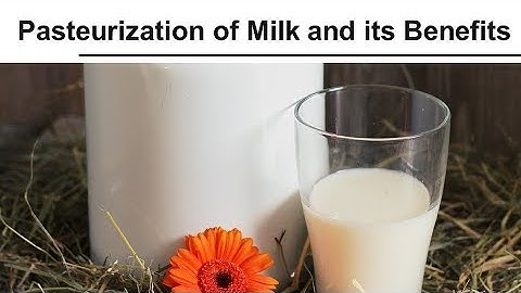 Pasteurization of Milk and its Benefits