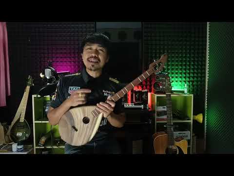 ดีดพิณลายเต้ยพม่าปะทะลายเต้ยโขง แบบโบราณ ทางพ่อบุญมา เขาวง