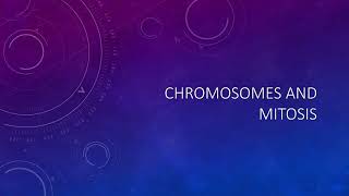 Chromosomes and Mitosis - Biology GCSE