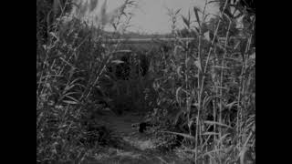 Out For Hours Trailer